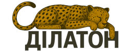 Dilaton